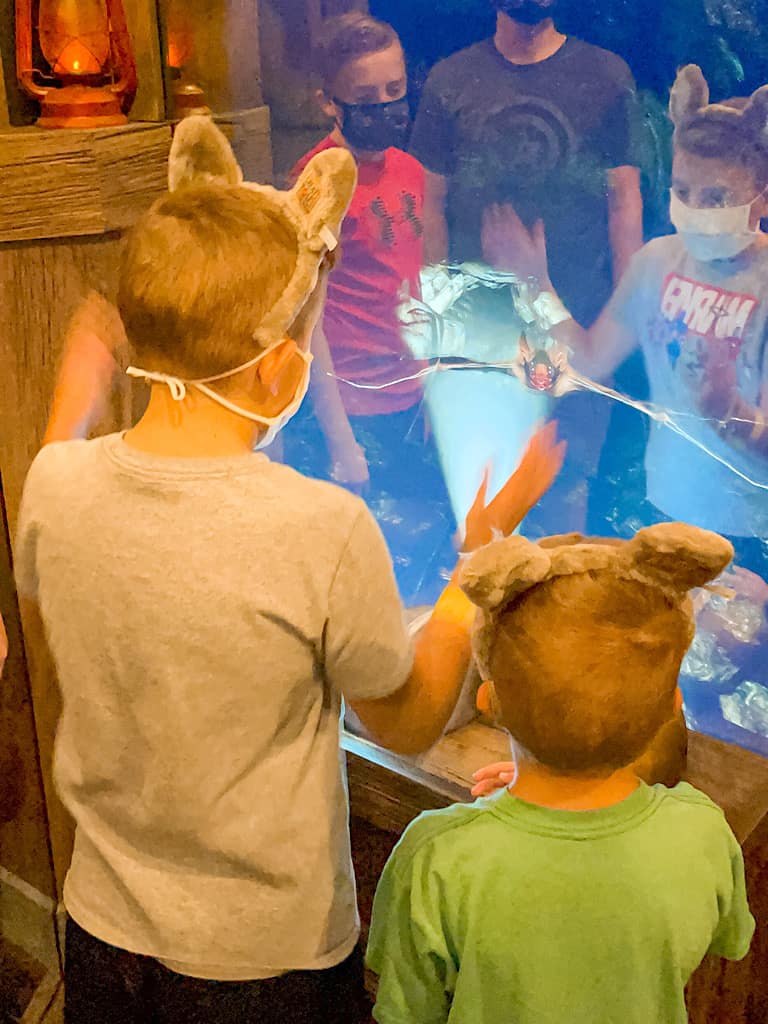 Two kids looking at clues inside a mirror maze at Great Wolf Lodge