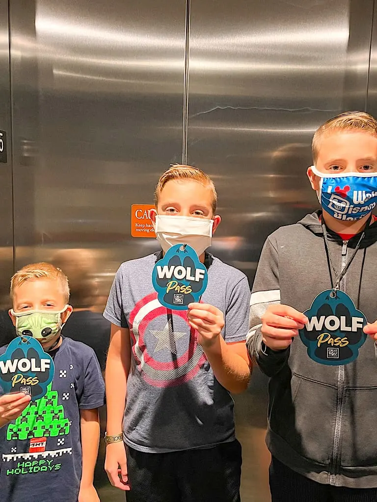 Three boys holding Wolf Passes at Great Wolf Lodge
