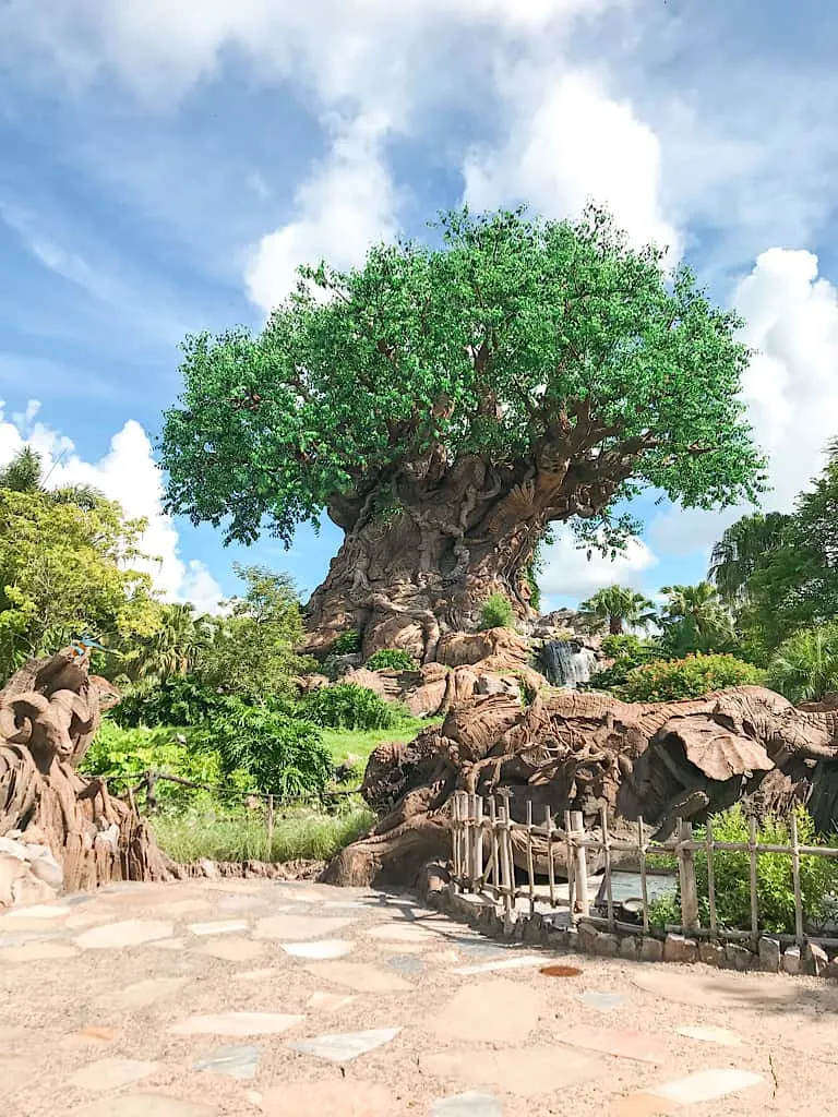 Tree of Life at Disney's Animal Kingdom Park