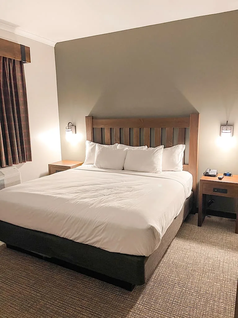 King size bed in Grizzly Bear Suite at Great Wolf Lodge Arizona