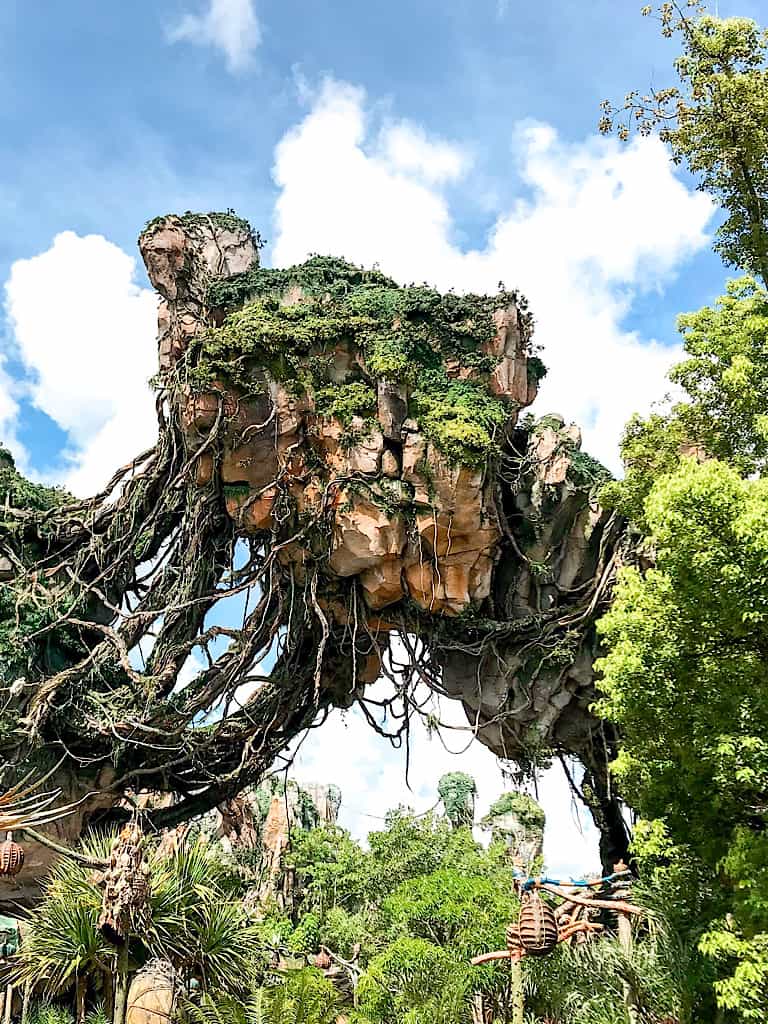 A tree from Pandora World of Avatar at Disney's Animal Kingdom Theme Park.