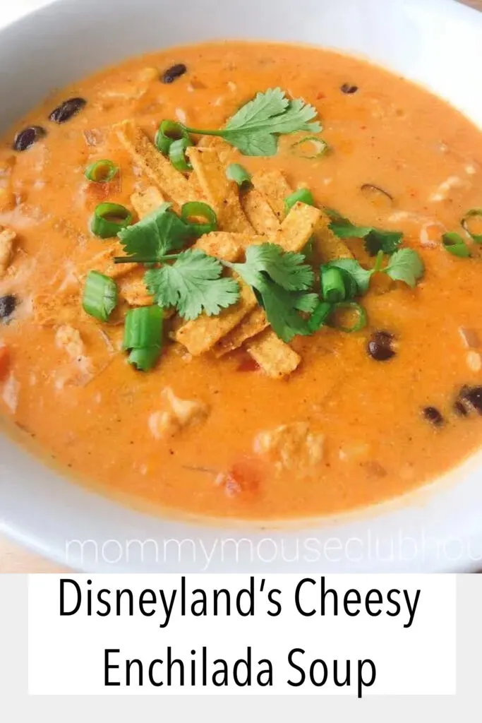 Disneyland's Cheesy Enchilada Soup