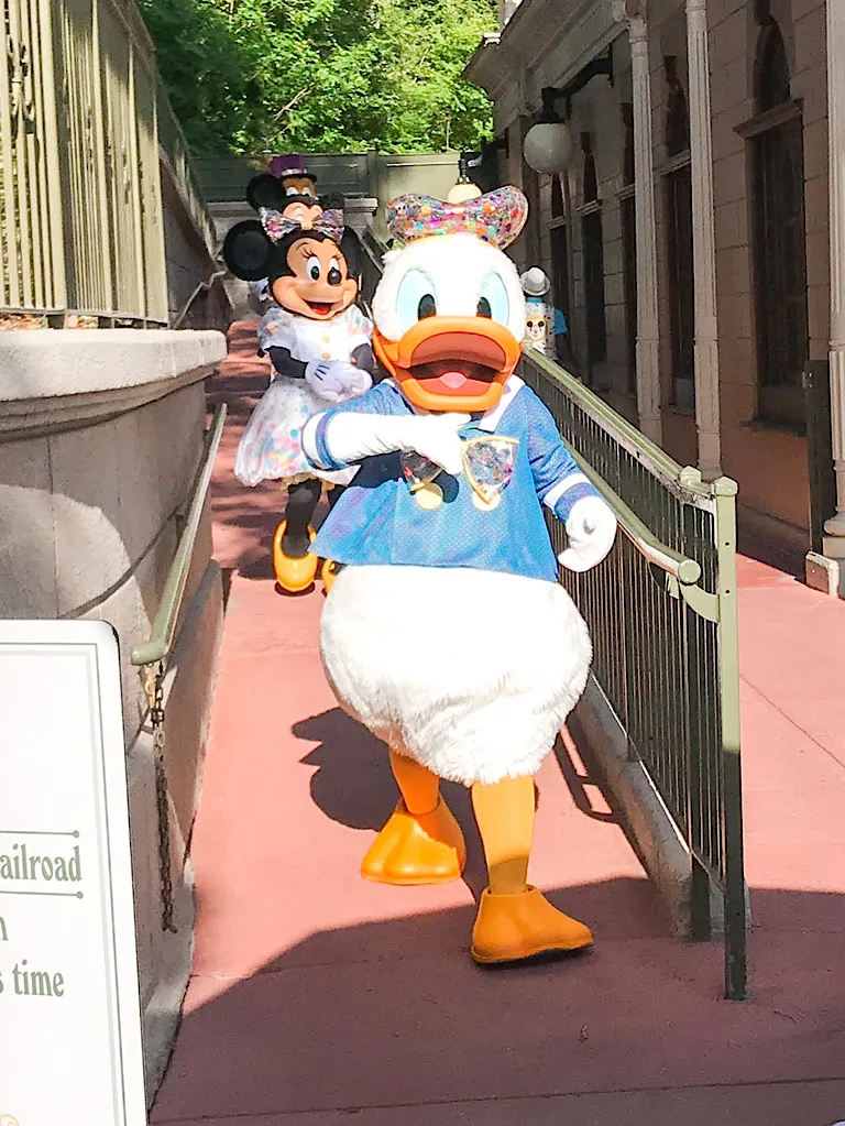 Donald Duck at Magic Kingdom.