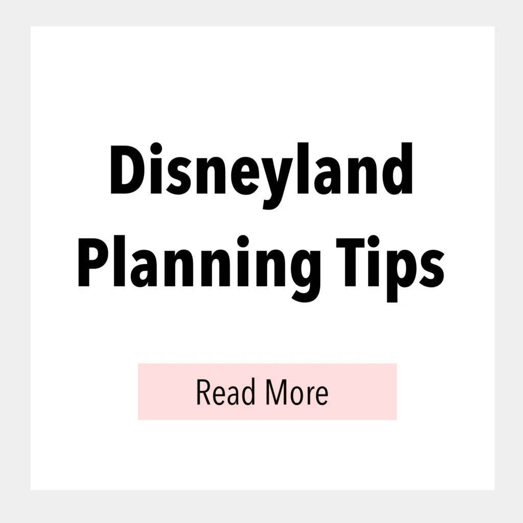 Disneyland Planning Tips