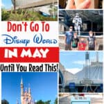 A collage of images at Disney World in May.