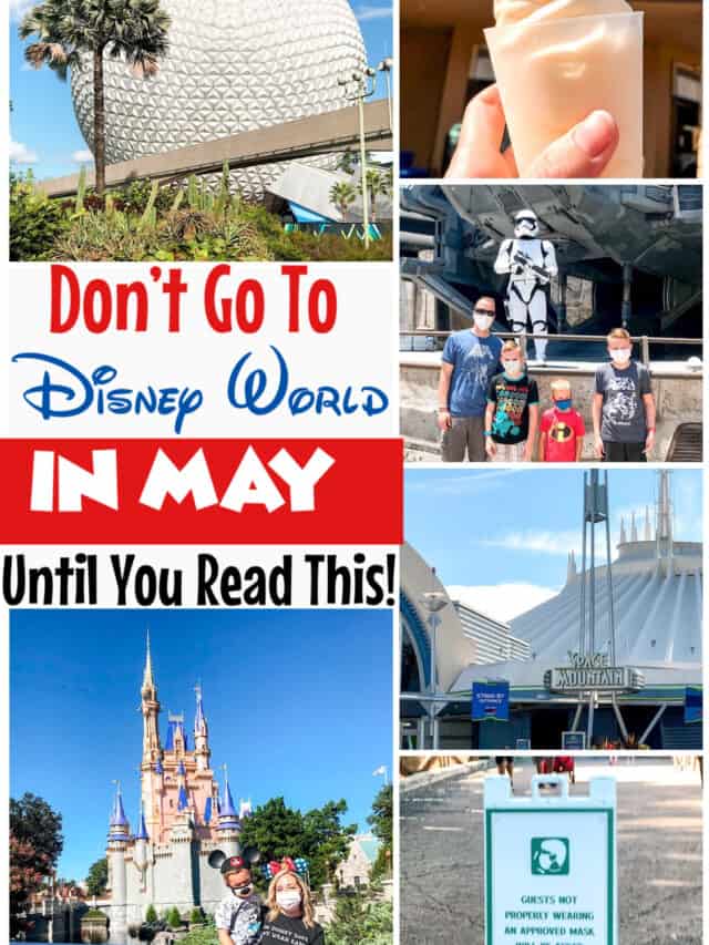 Disney World in May