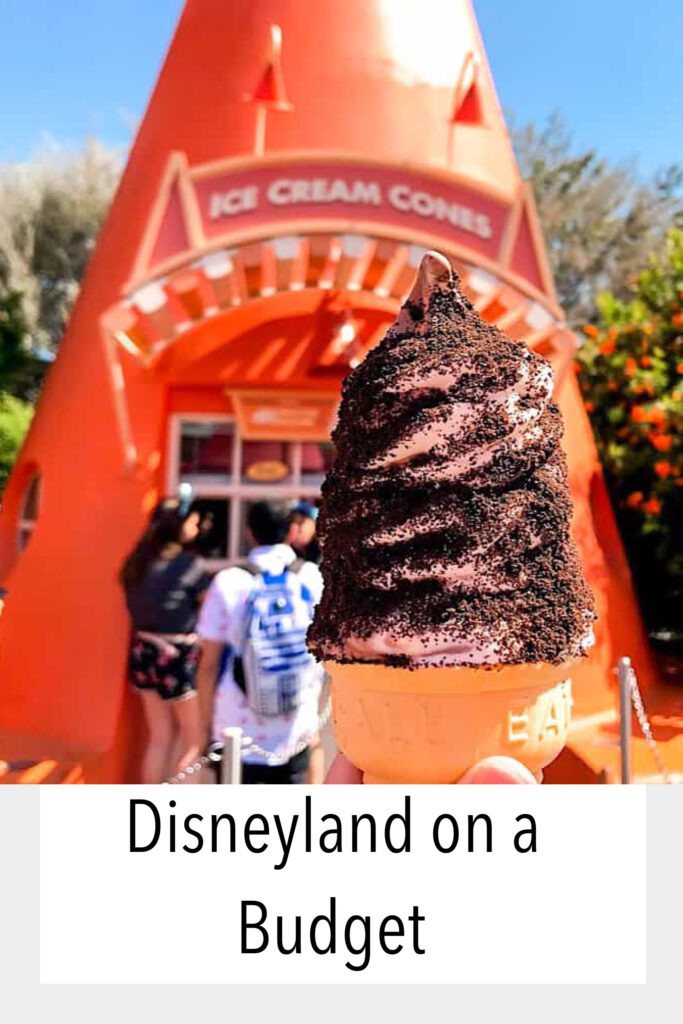 Disneyland on a Budget