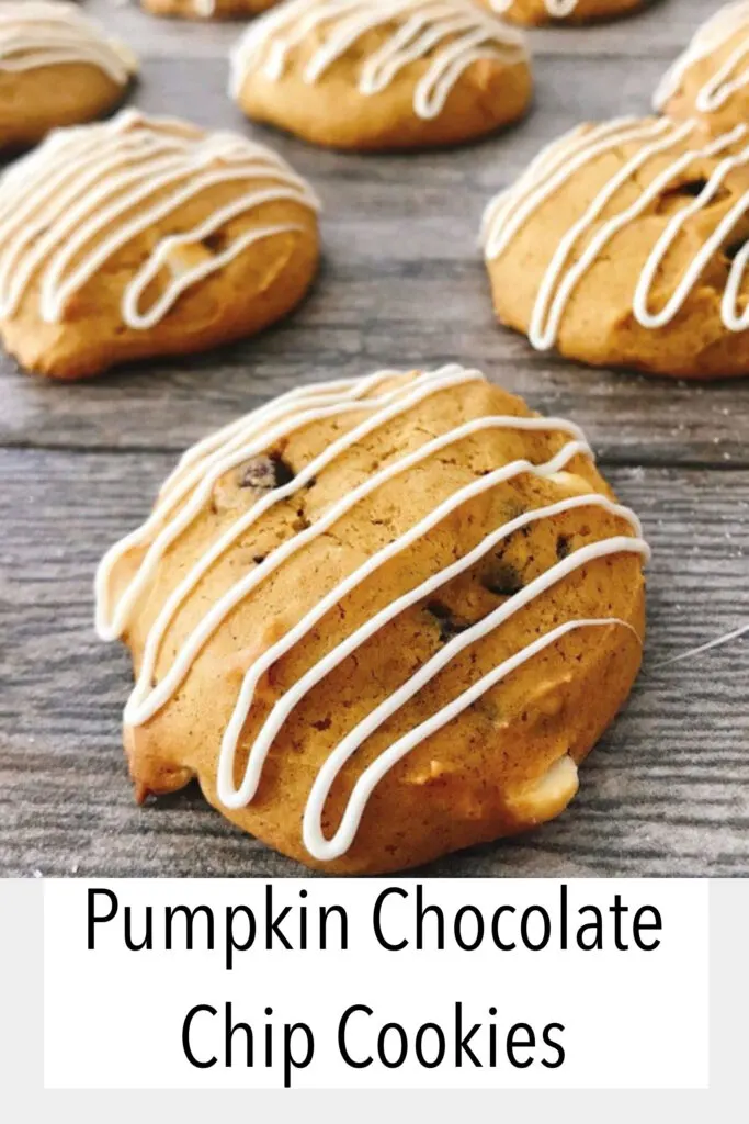 Pumpkin Chocolate Chip Cookies