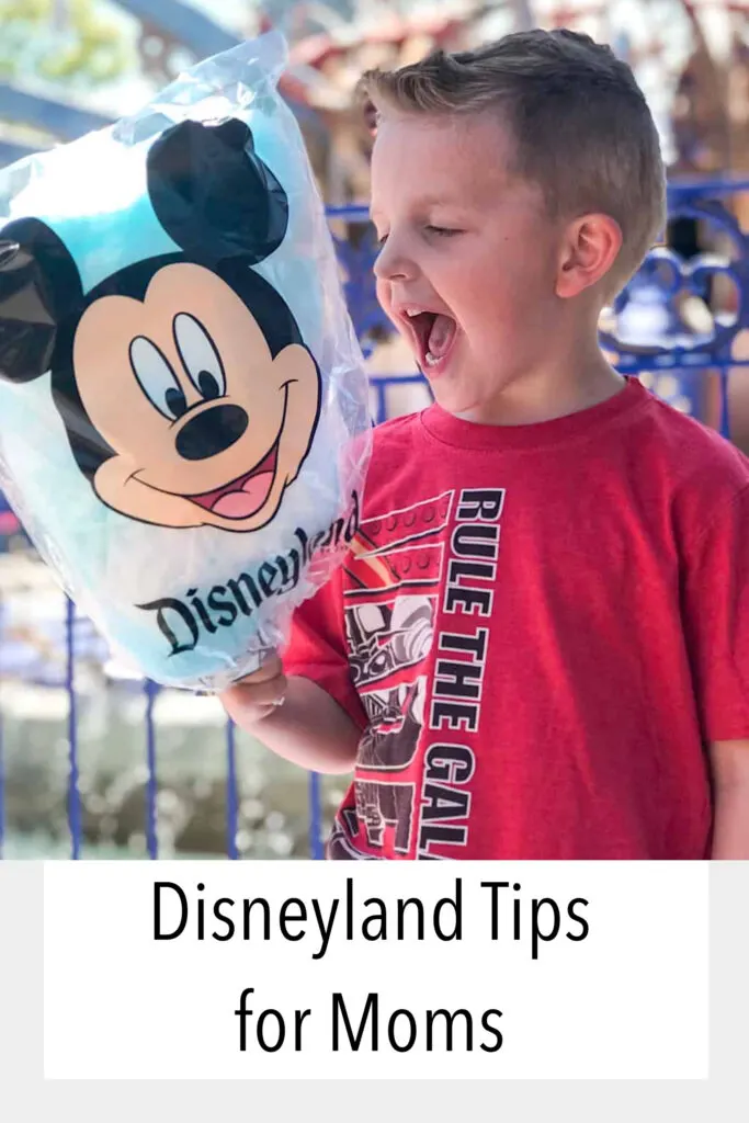 Disneyland Tips for Moms
