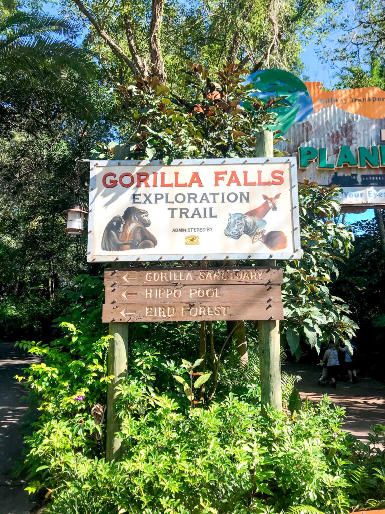 Gorilla Falls at Disney's Animal Kingdom.