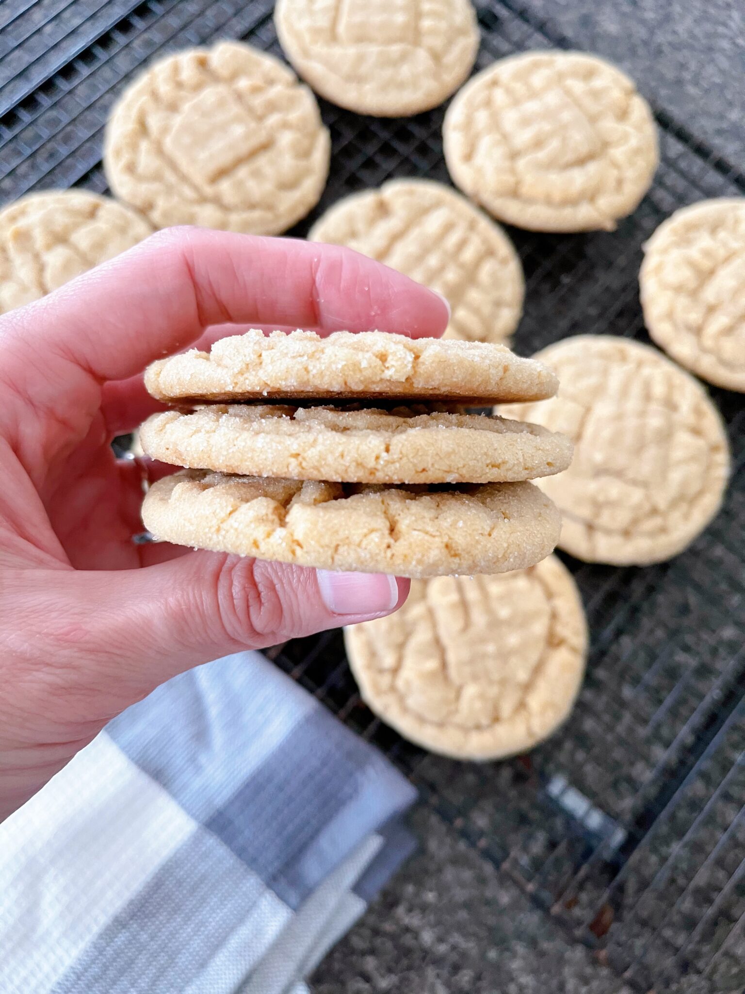 Soft Peanut Butter Cookies - The Mommy Mouse Clubhouse