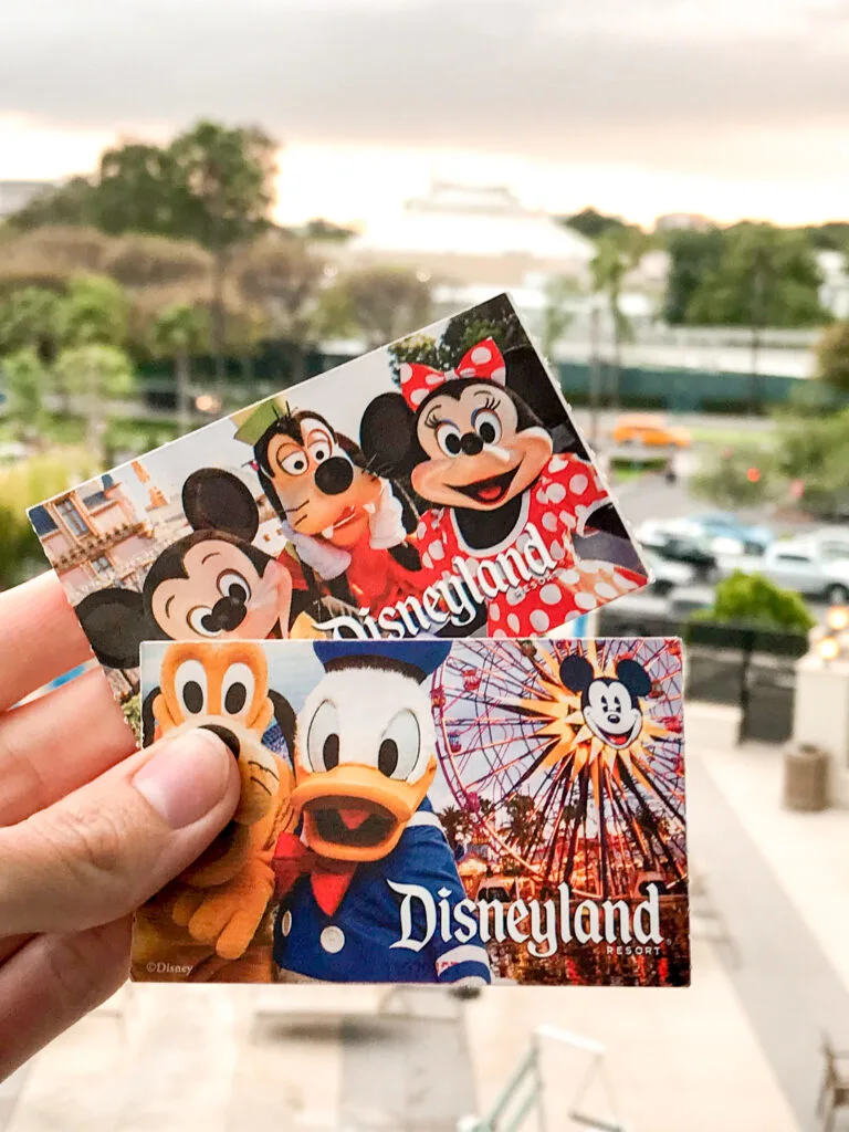 Disneyland tickets.