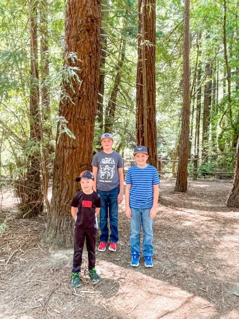 Three boys in front of Redwood trees at Redwood Regional Park.