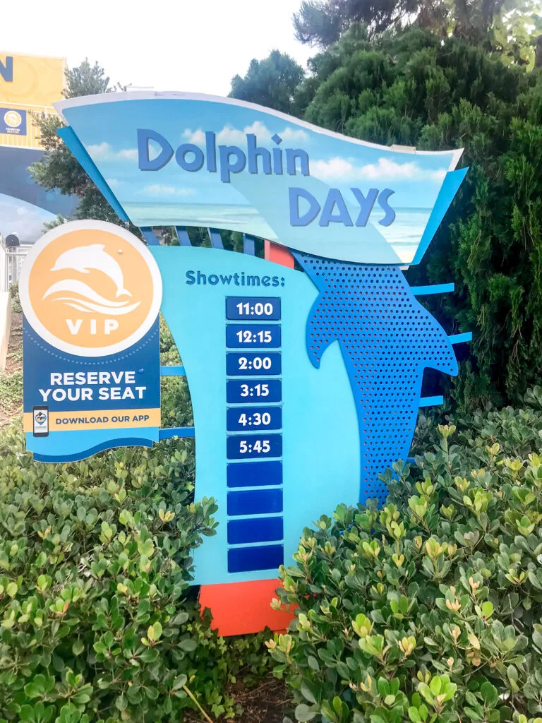 Dolphin Days show at Sea World San Diego.