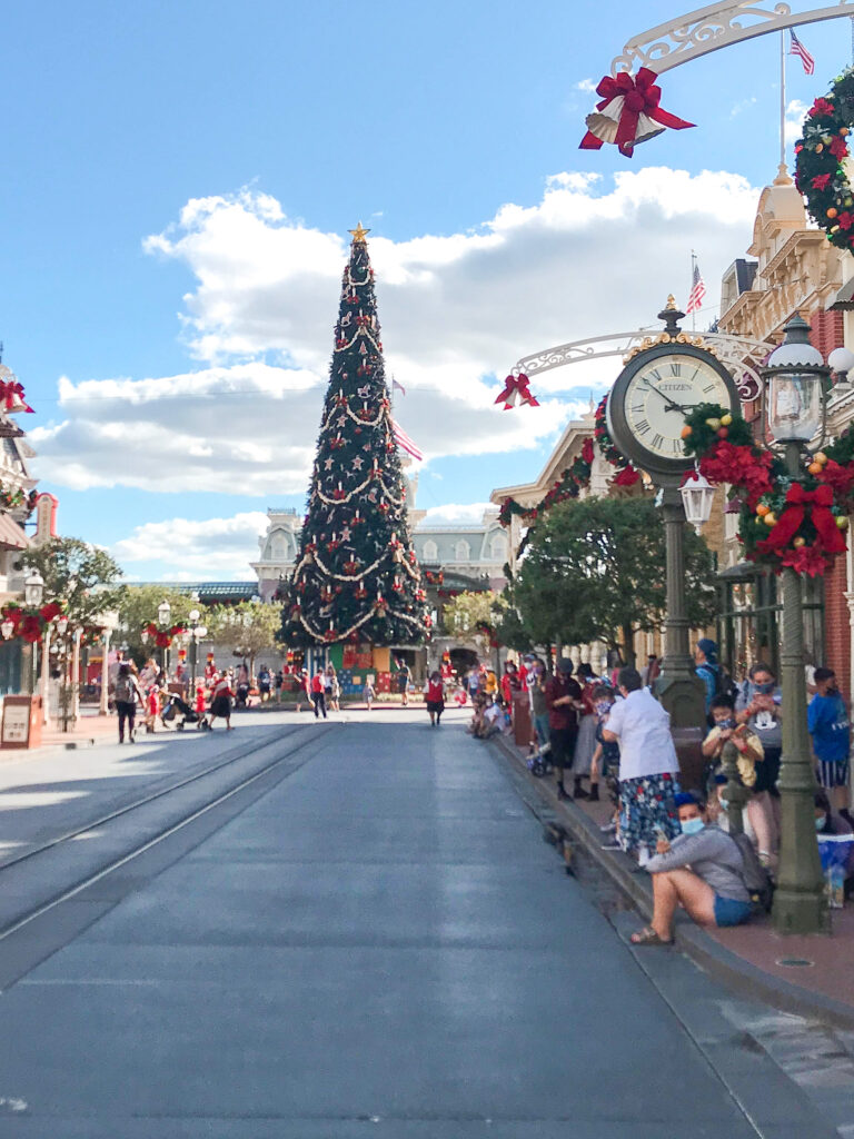 Magic Kingdom Juletre.