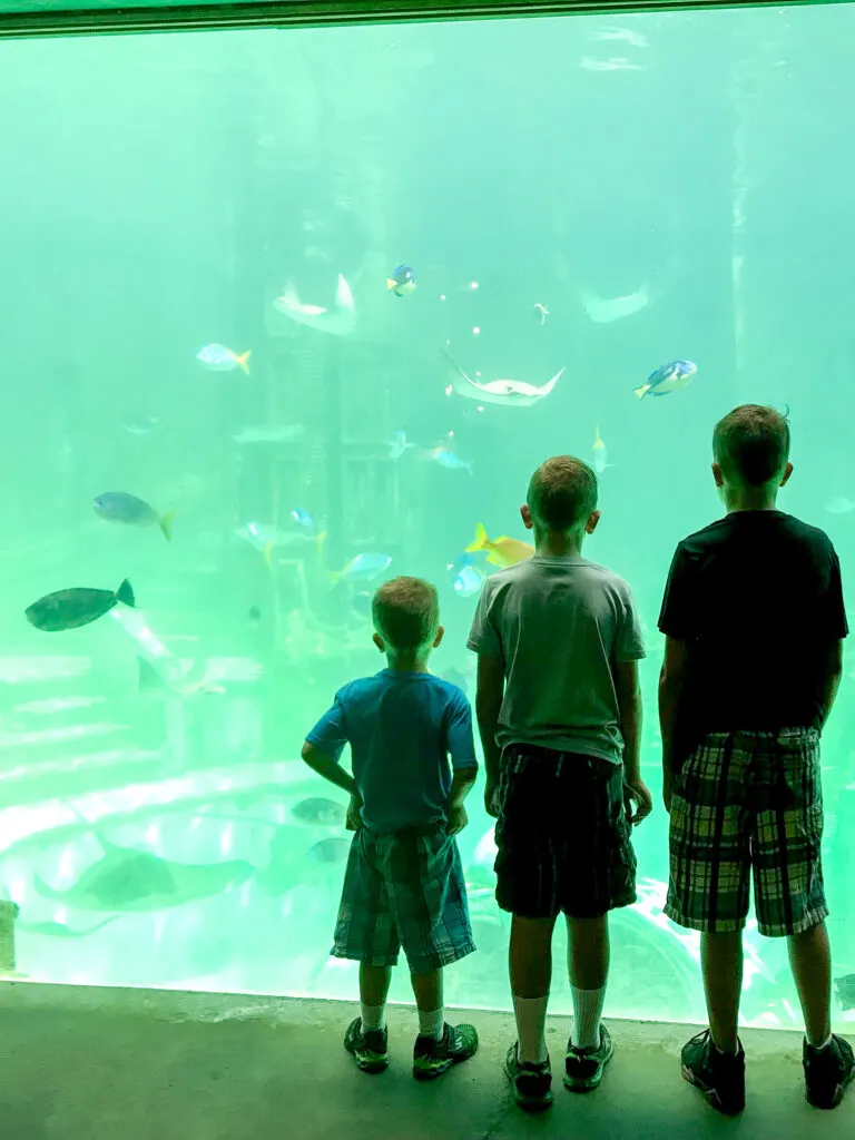 Three boys standing in front of an aquarium at Sea World.
