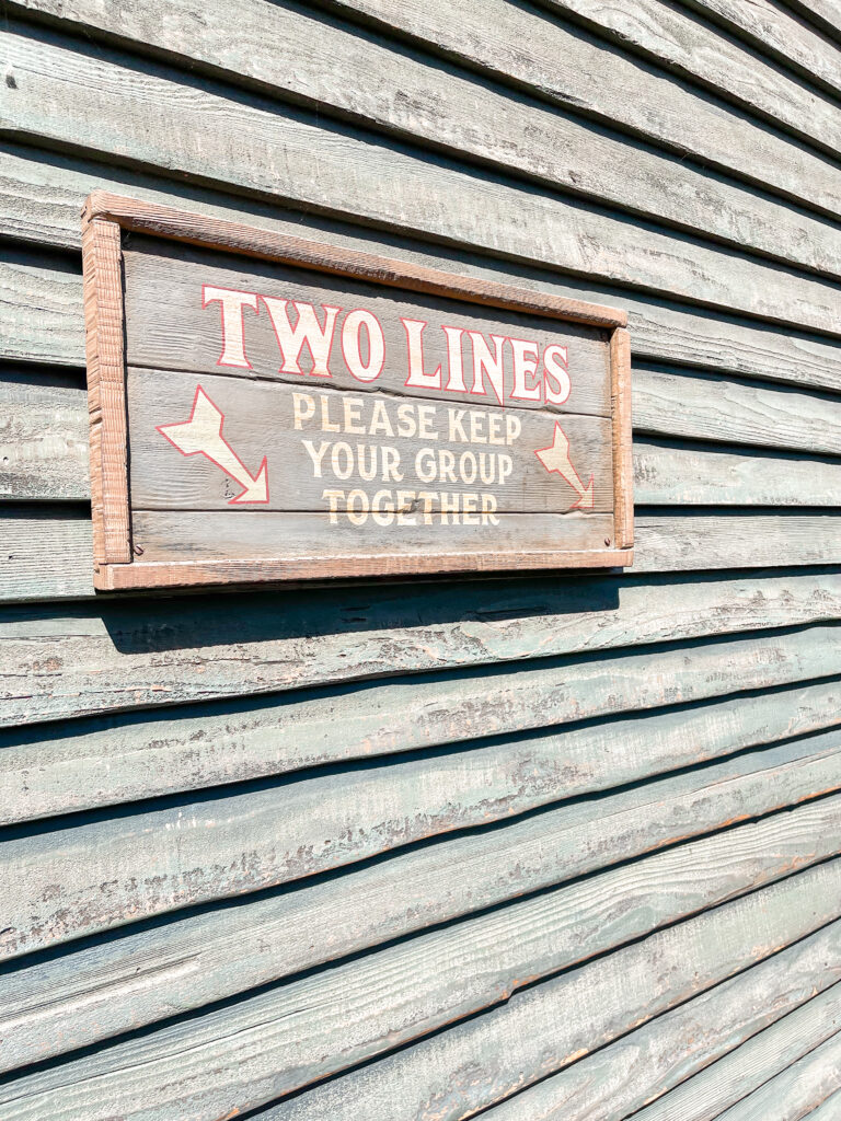 Queue for Jungle Cruise where the line splits.