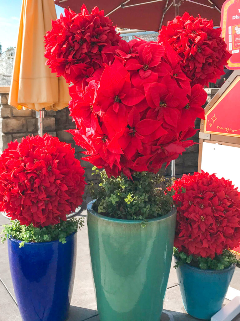 Mickey shaped poinsettia plants.