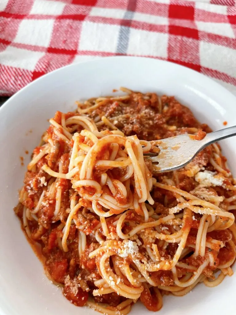 A bowl of spaghetti.