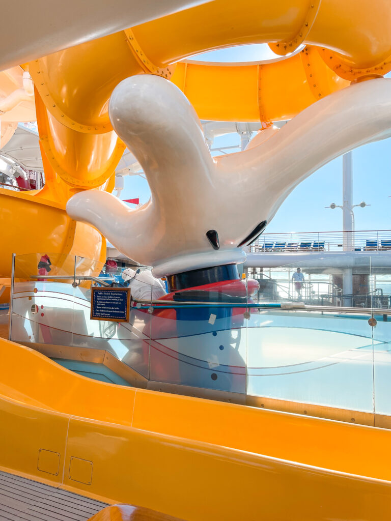 Mickey Water Slide on the Disney Dream.