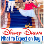 Pinterest image for Disney Dream Day 1.