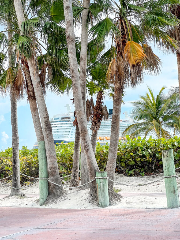 View of the Disney Dream through a group of palm trees.