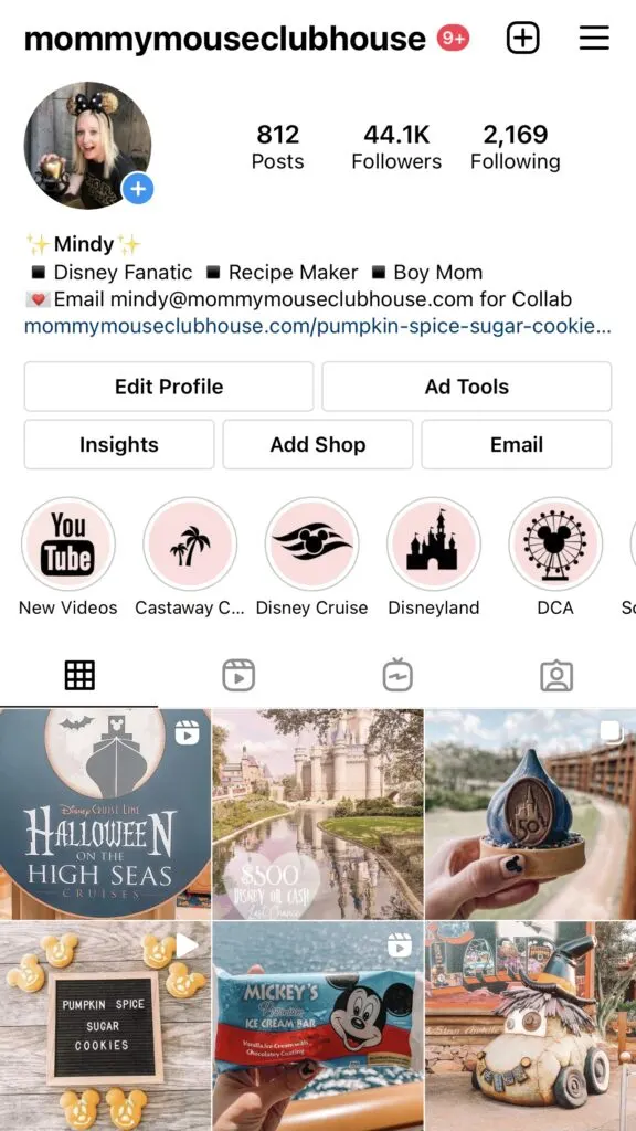 Instagram profile for Mommy Mouse Clubhouse.
