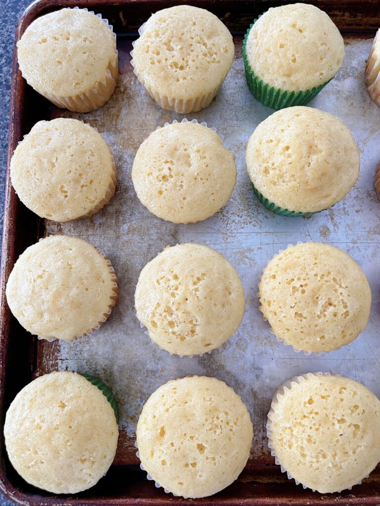 Freshly baked vanilla cupcakes in a cupcake pan.