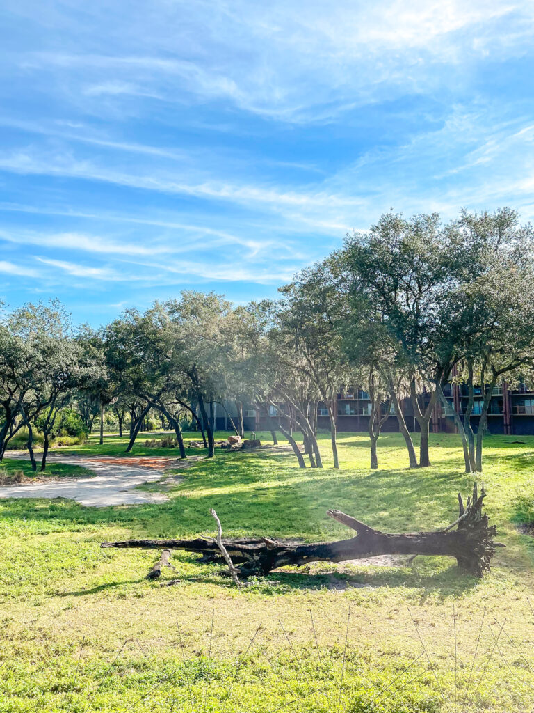 View of the hotel grounds from outside the lobby at Disney's Animal Kingdom Lodge.