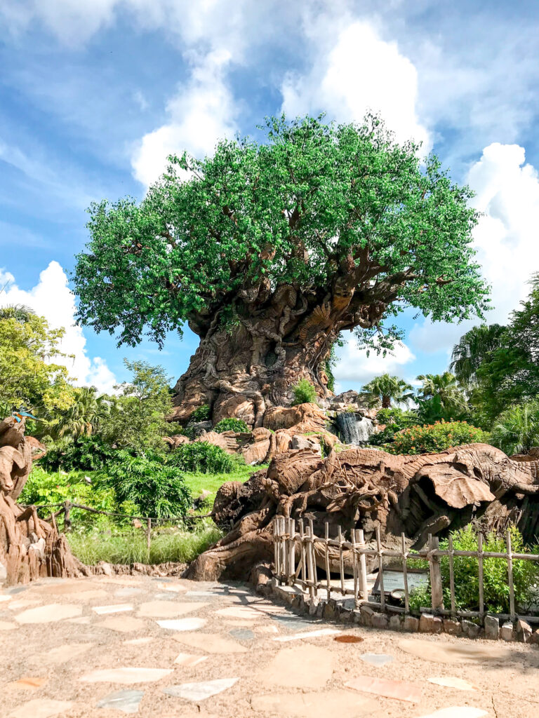 The tree of life at Disney's Animal Kingdom Park