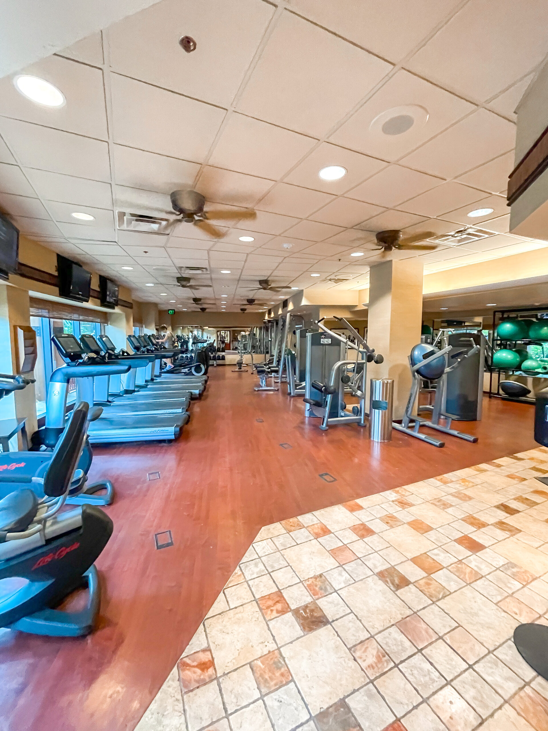 Disney's Animal Kingdom Lodge Fitness Center.