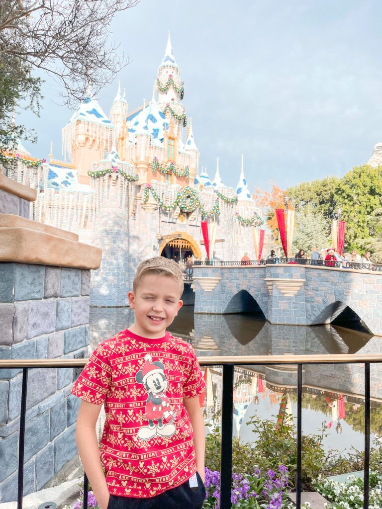 A boy in a Christmas Mickey shirt in front of Sleeping Beauty Castle.
