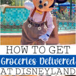 Mickey Mouse and text that says How to Get Groceries Delivered at Disneyland.