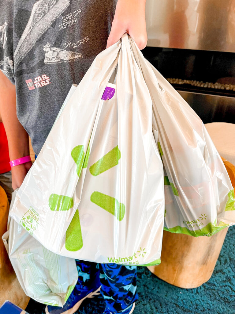 A child holding walmart grocery bags delivered to a Disneyland area hotel.