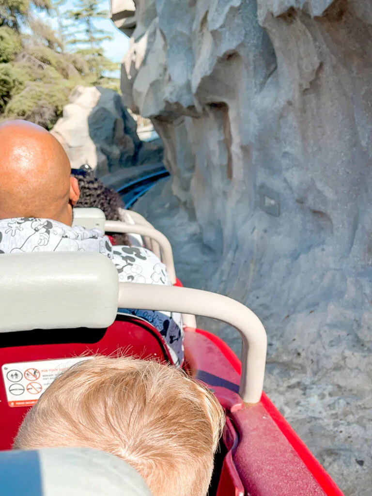 People riding Matterhorn Bobsleds.