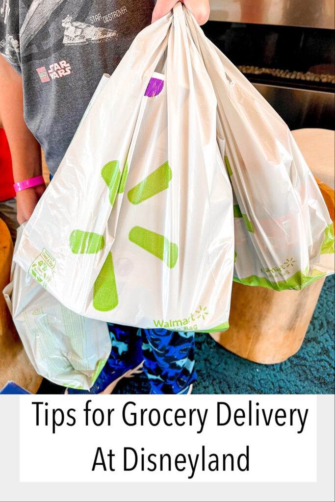 Tips for Grocery Delivery at Disneyland.