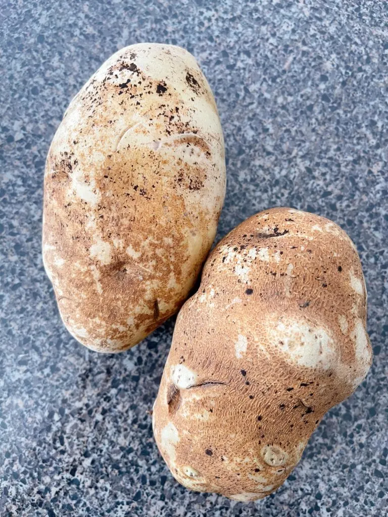 Two Russet potatoes to make potato wedges.