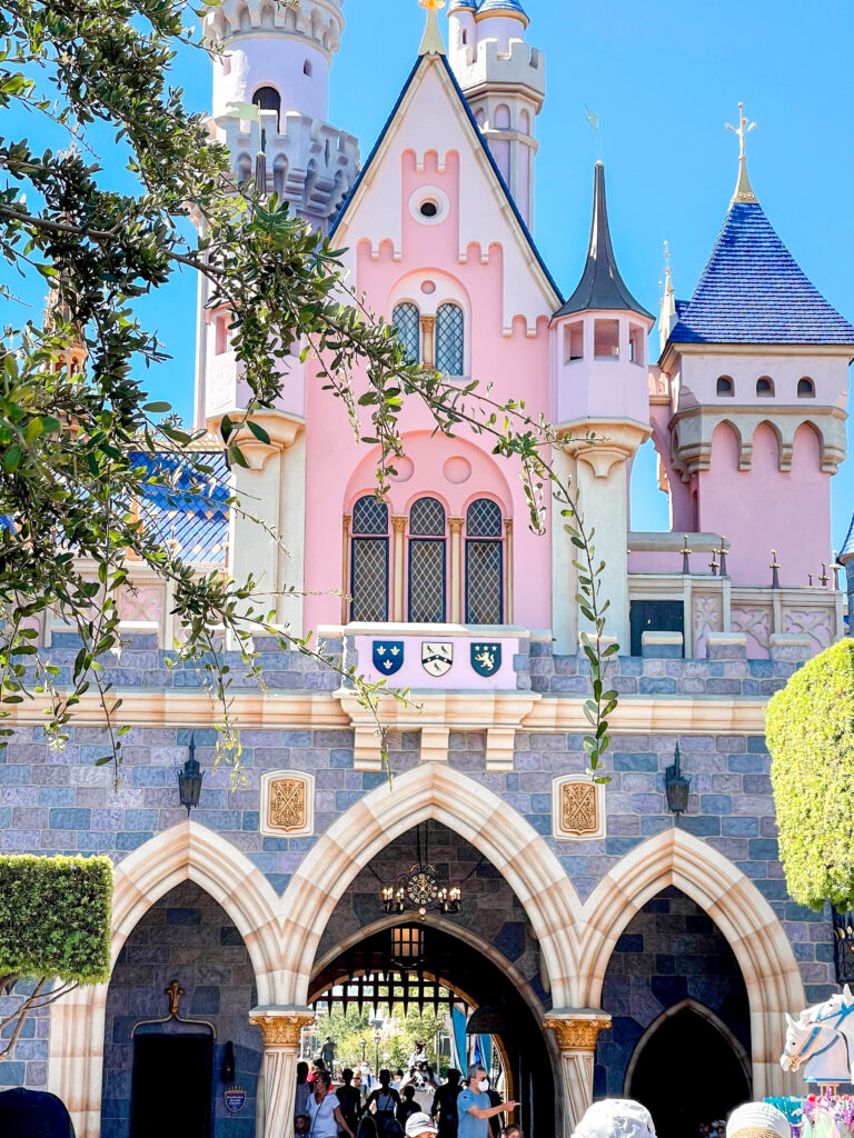 View of the back of Sleeping Beauty Castle.