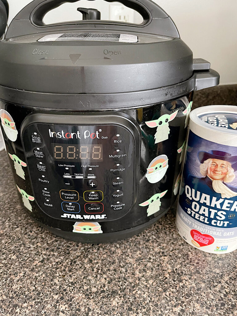 An Instant Pot and a container of steel cut oats.