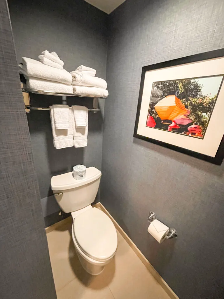 Toilet area of a room in the Disneyland Hotel.