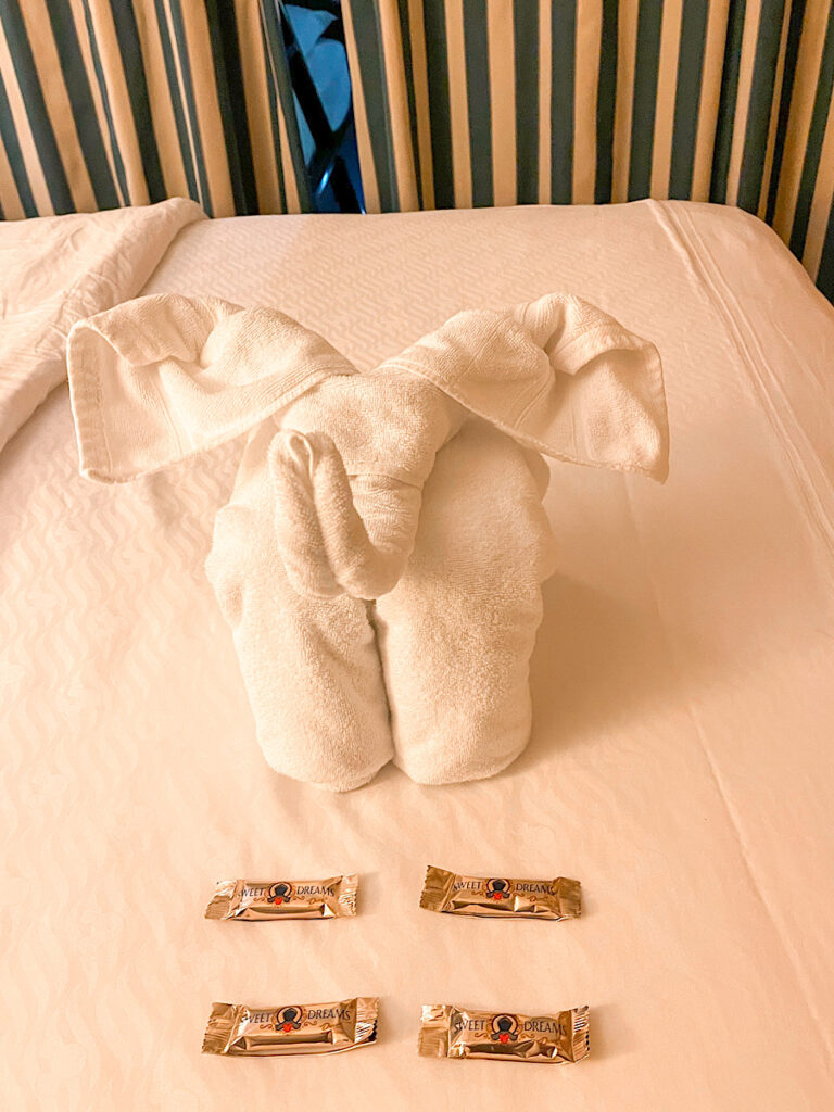 A towel animal on Disney Cruise Line.