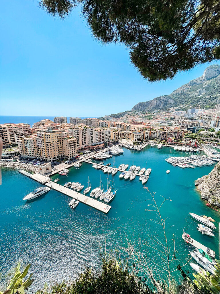 View of a marina and buildings in Monaco.