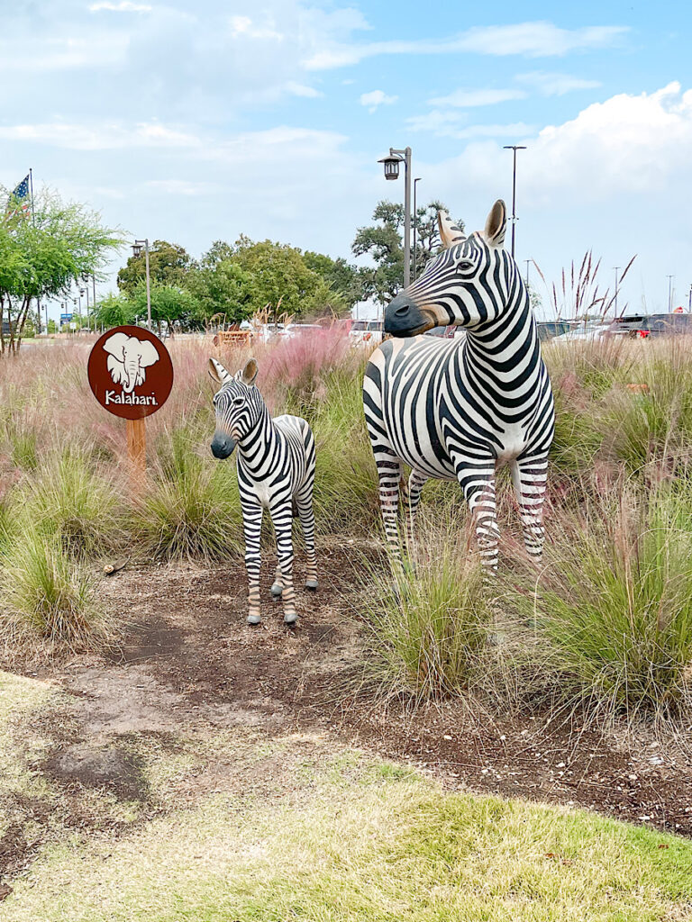 Two zebra statues outside Kalahari Resort in Texas.
