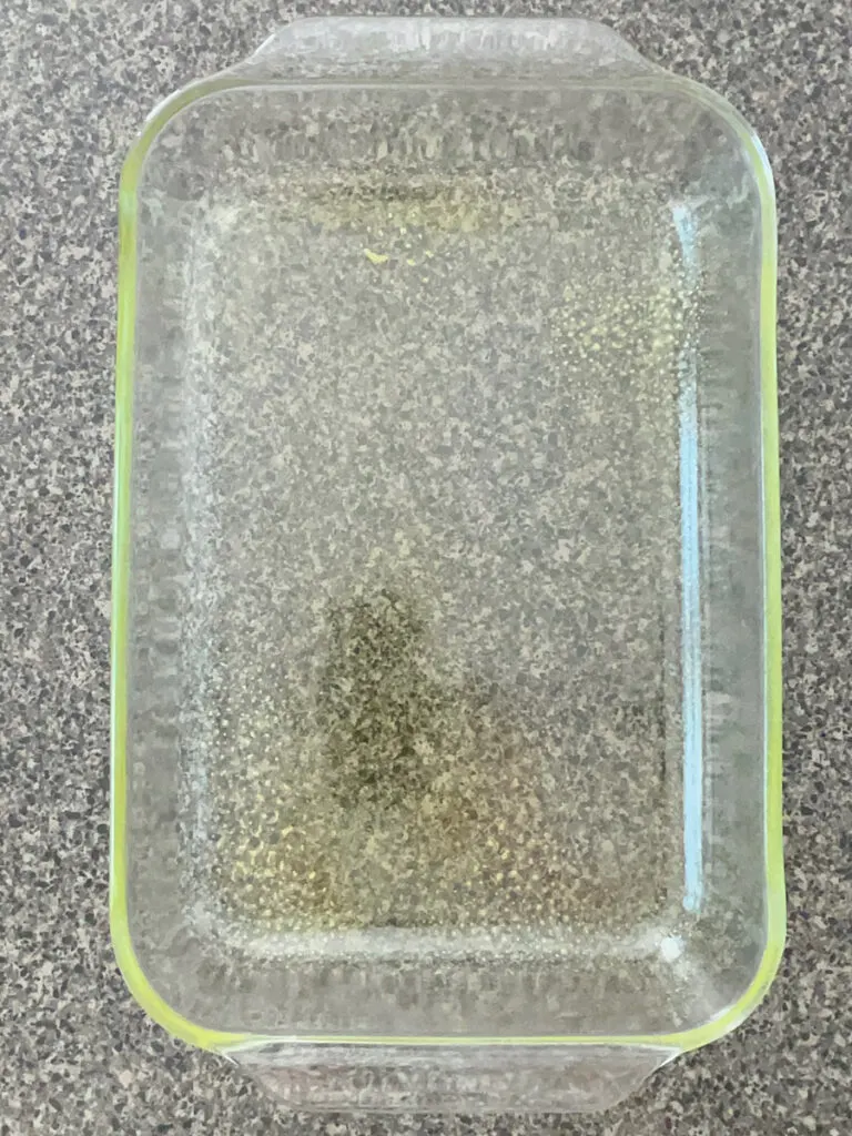 A baking dish sprayed with non-stick spray.