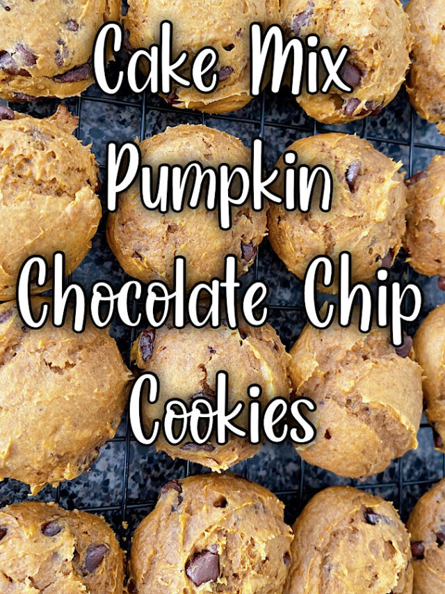 Spice Cake Mix Pumpkin Chocolate Chip Cookies