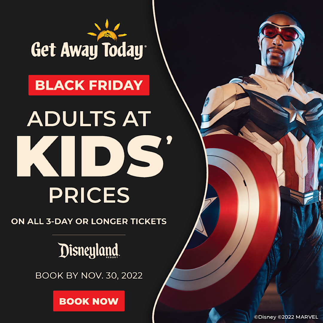 Black Friday Disneyland Ticket Sale 2022 – Don’t Miss Out! - The Mommy ...