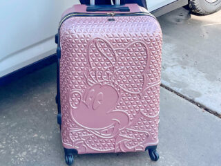 A Pink Minnie Mouse suit case.
