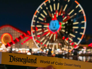 A bracelet for World of Color Dessert Party in front of the Mickey ferris wheel at Disneyland.