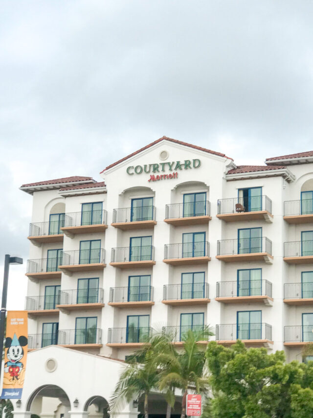 Best Disneyland Good Neighbor Hotel