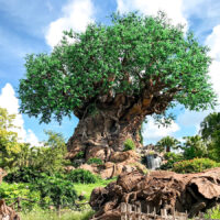 Tree of Life at Disney's Animal Kingdom Park.